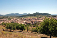 Son Servera