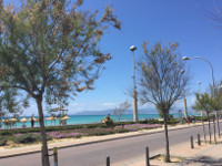 Paseo