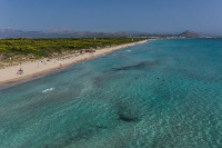 Vista aérea Playa de Muro Vista aérea Playa de Muro