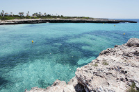 Cala´n Bosch